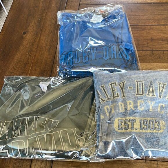 Lot of 3 Harley Davidson size L t-shirt distressed camp - Picture 1 of 13